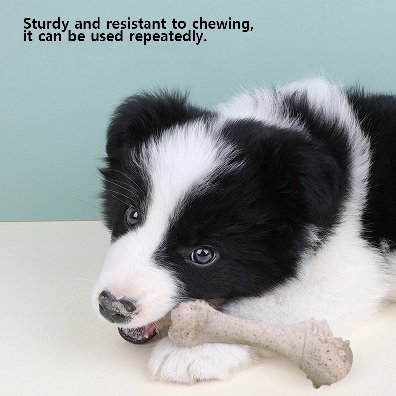 Teeth Cleaning Dog Chew Bone - 12 cm hondenspeelgoed, een botvormig kauwspeeltje