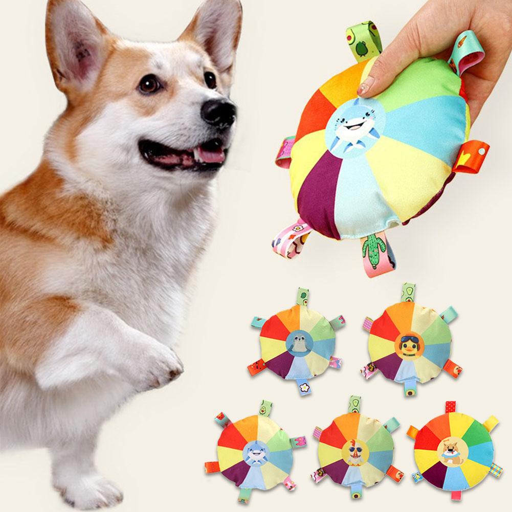 Grappige regenboog pluche vlie - Flying Disc Dog Training Toy recensie en prijs
