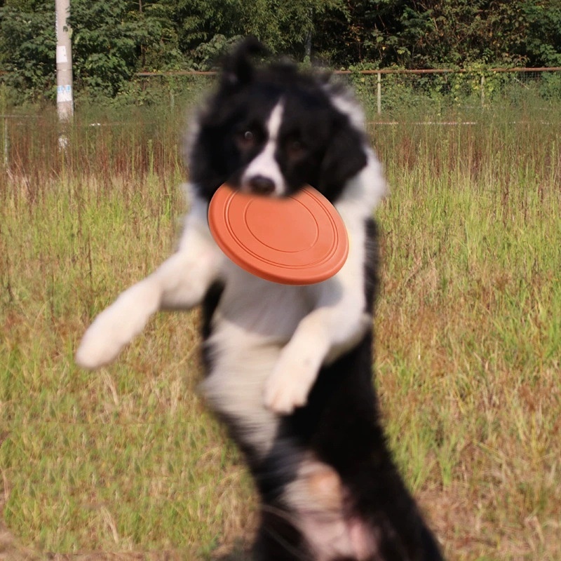 Interactief siliconen vliegend - Flying Disc Dog Training Toy recensie en prijs