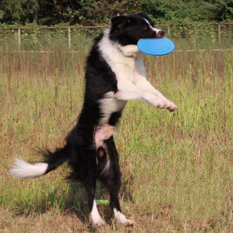 Interactief siliconen vliegend - Flying Disc Dog Training Toy recensie en prijs