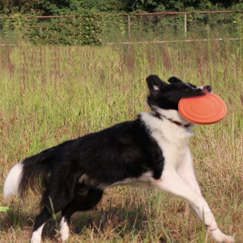 Interactief siliconen vliegend - Flying Disc Dog Training Toy recensie en prijs