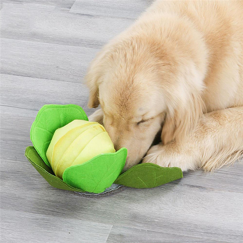 Hond Snuffle Mat Huisdier Snui - Snuffle Mat For Dogs recensie en prijs