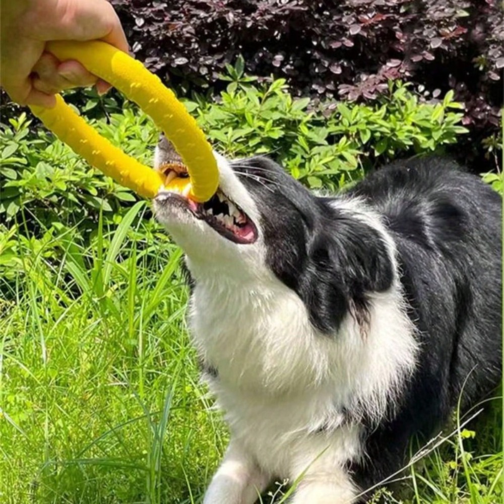Hondenvliegende schijf, vliege - Flying Disc Dog Training Toy recensie en prijs
