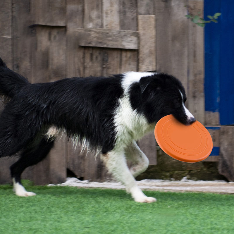 Huisdier Training Speelgoed In - Flying Disc Dog Training Toy recensie en prijs