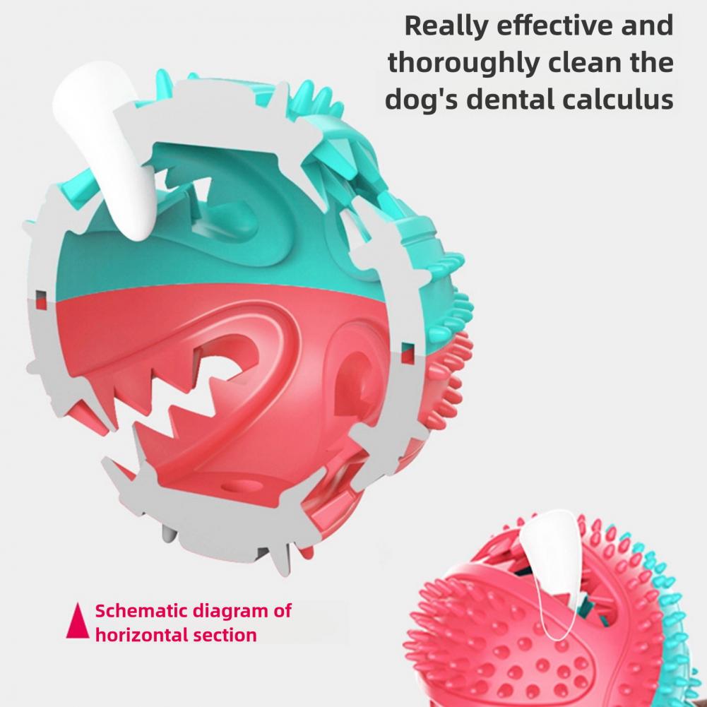 Kauwspeelgoed voor honden voor - Suction Cup Dog Tug Toy recensie en prijs