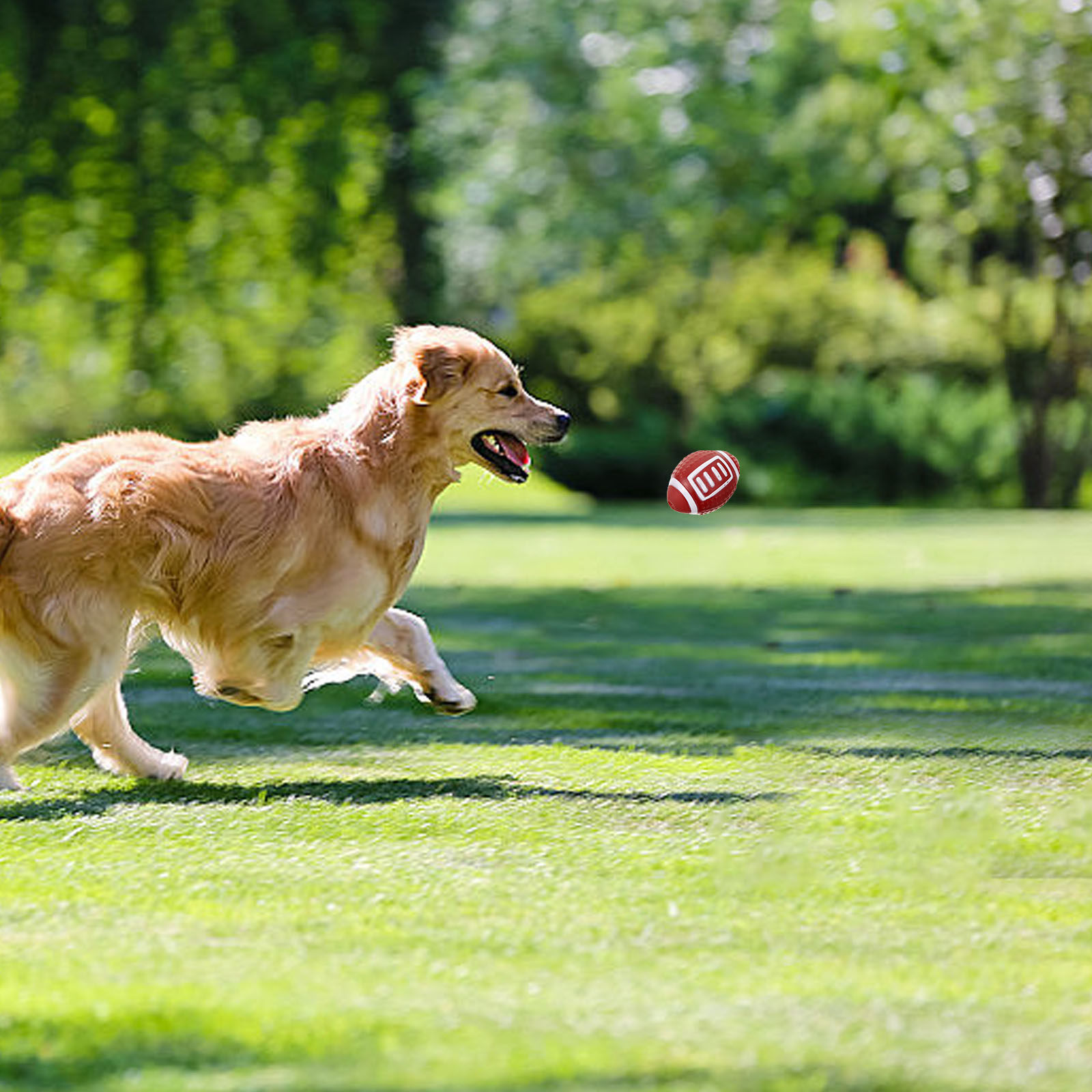 4 stuks Rugby Bite Balls Hond  - Flying Disc Dog Training Toy recensie en prijs