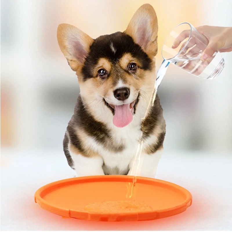 Hond Vliegende Schijf Speelgoe - Flying Disc Dog Training Toy recensie en prijs