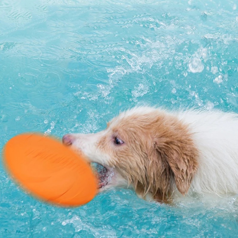 Hond Vliegende Schijf Speelgoe - Flying Disc Dog Training Toy recensie en prijs