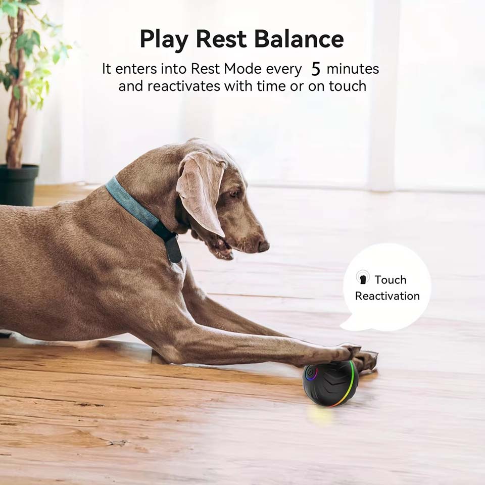 Interactieve slimme hondenspee - Automatic Moving Dog Ball recensie en prijs