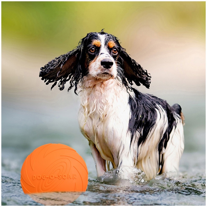 Siliconen Vliegende Schotel Gr - Flying Disc Dog Training Toy recensie en prijs