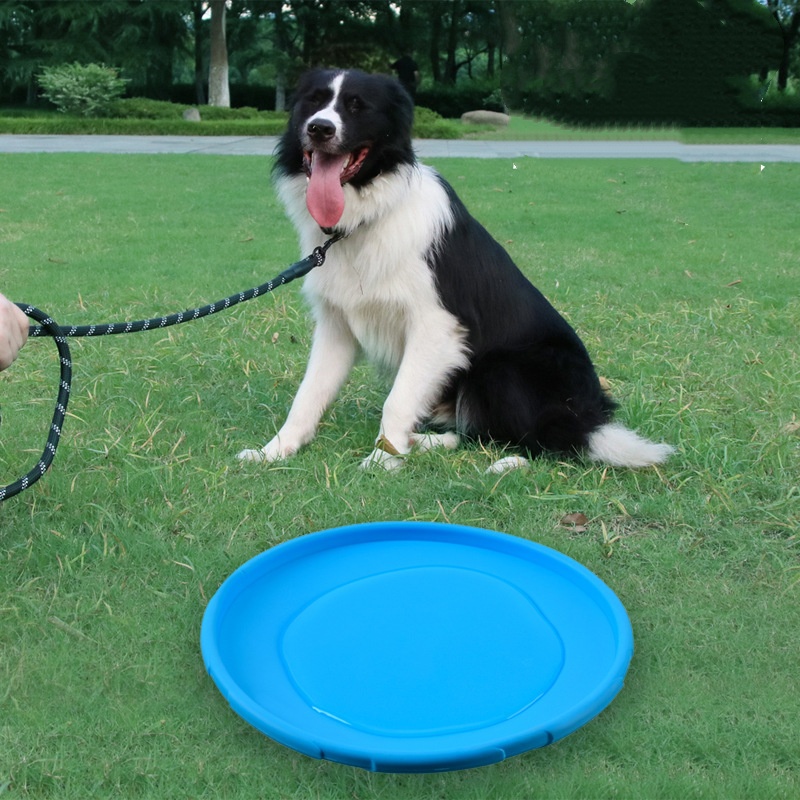 Siliconen Vliegende Schotel Gr - Flying Disc Dog Training Toy recensie en prijs