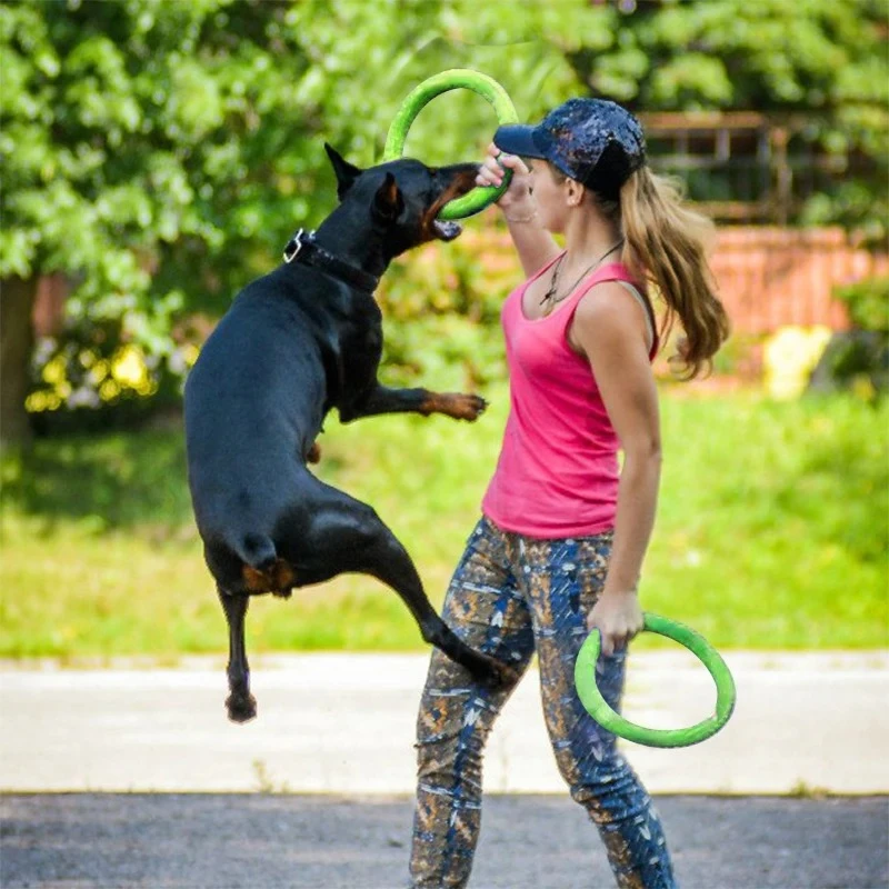 18cm EVA Hondentrainingring Ho - Flying Disc Dog Training Toy recensie en prijs