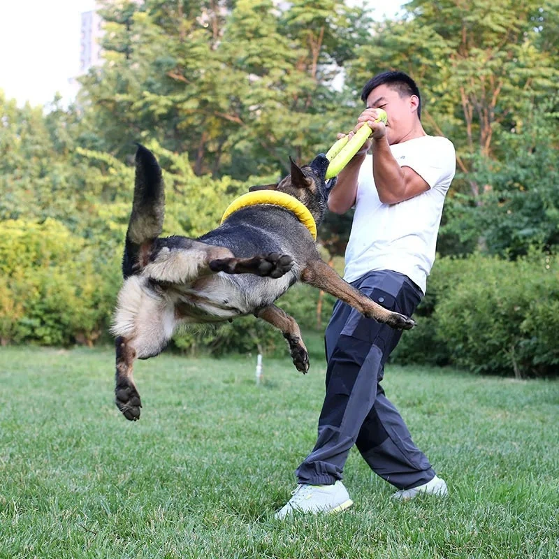 18cm EVA Hondentrainingring Ho - Flying Disc Dog Training Toy recensie en prijs