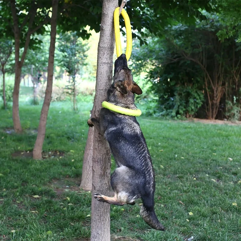 18cm EVA Hondentrainingring Ho - Flying Disc Dog Training Toy recensie en prijs