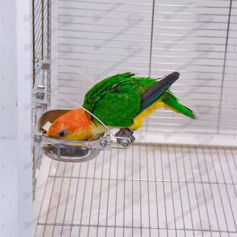 Voerbak voor papegaaien, roest - Pet Feeders recensie en prijs