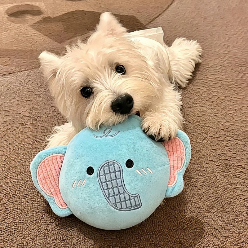 Zachte hondenpluche vliegende  - Flying Disc Dog Training Toy recensie en prijs