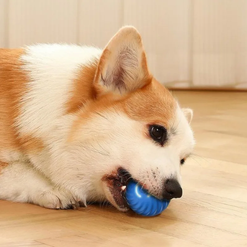 @1G-Huisdier Speelgoedbal Auto - Automatic Moving Dog Ball recensie en prijs