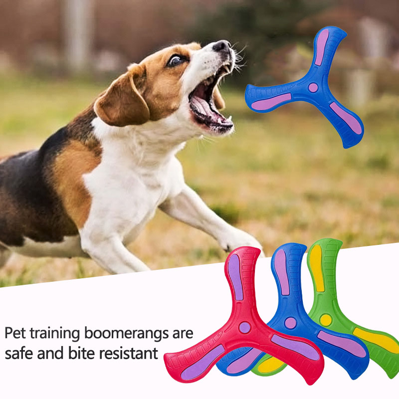 1/2/3PCS Hondentraining Boomer - Flying Disc Dog Training Toy recensie en prijs