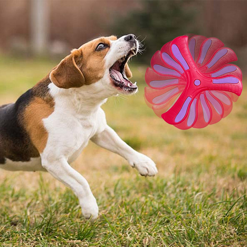 1/2/3PCS Hondentraining Boomer - Flying Disc Dog Training Toy recensie en prijs