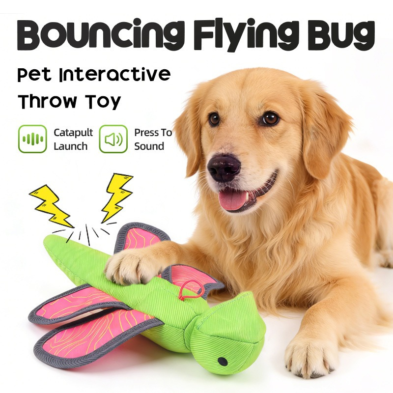 Interactieve piepende vliegend - Flying Disc Dog Training Toy recensie en prijs