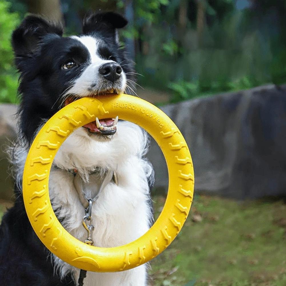 Hondenring Speelgoed Onverwoes - Indestructible Dog Chew Toy recensie en prijs