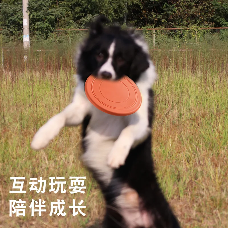 Huisdier Speelgoed Hond Vliege - Flying Disc Dog Training Toy recensie en prijs