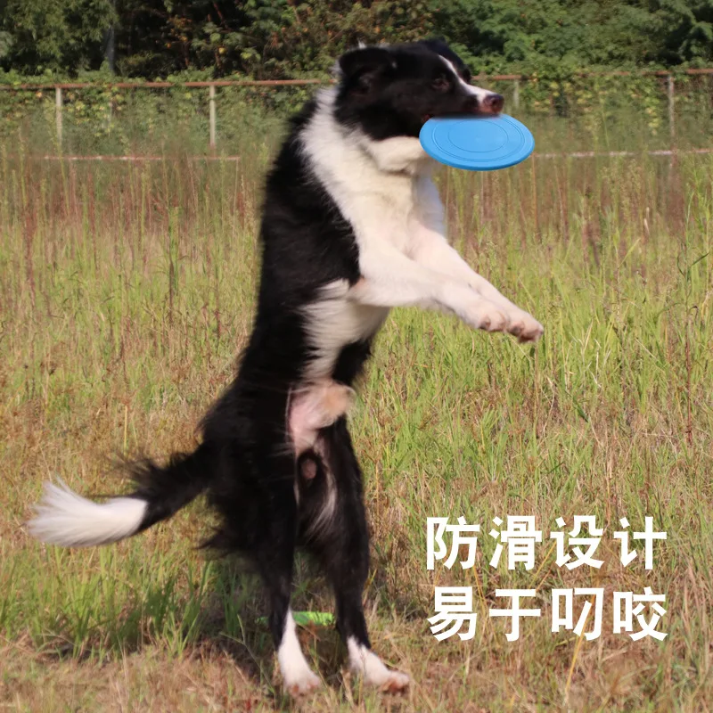 Huisdier Speelgoed Hond Vliege - Flying Disc Dog Training Toy recensie en prijs