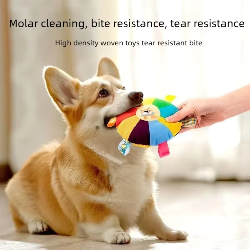 Hondenvliegende schijven speel - Flying Disc Dog Training Toy recensie en prijs