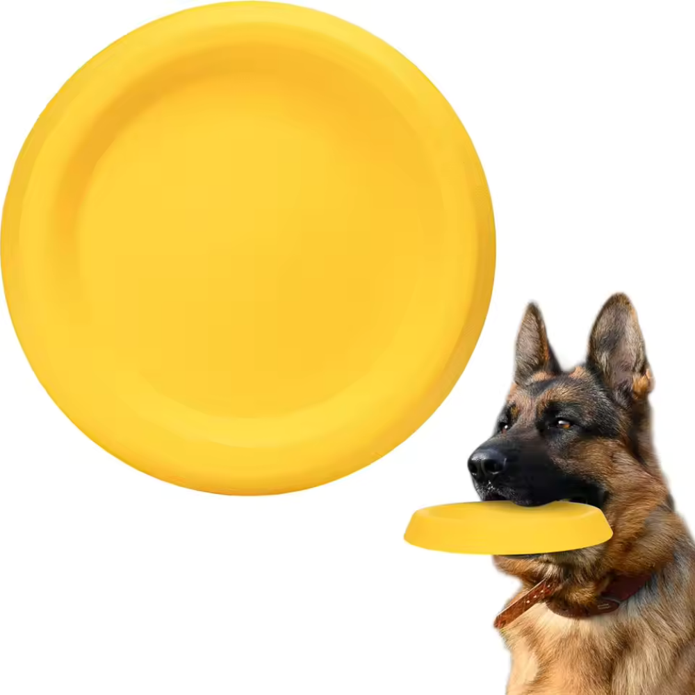 Duurzame EVA Hondenvliegschijf - Flying Disc Dog Training Toy recensie en prijs