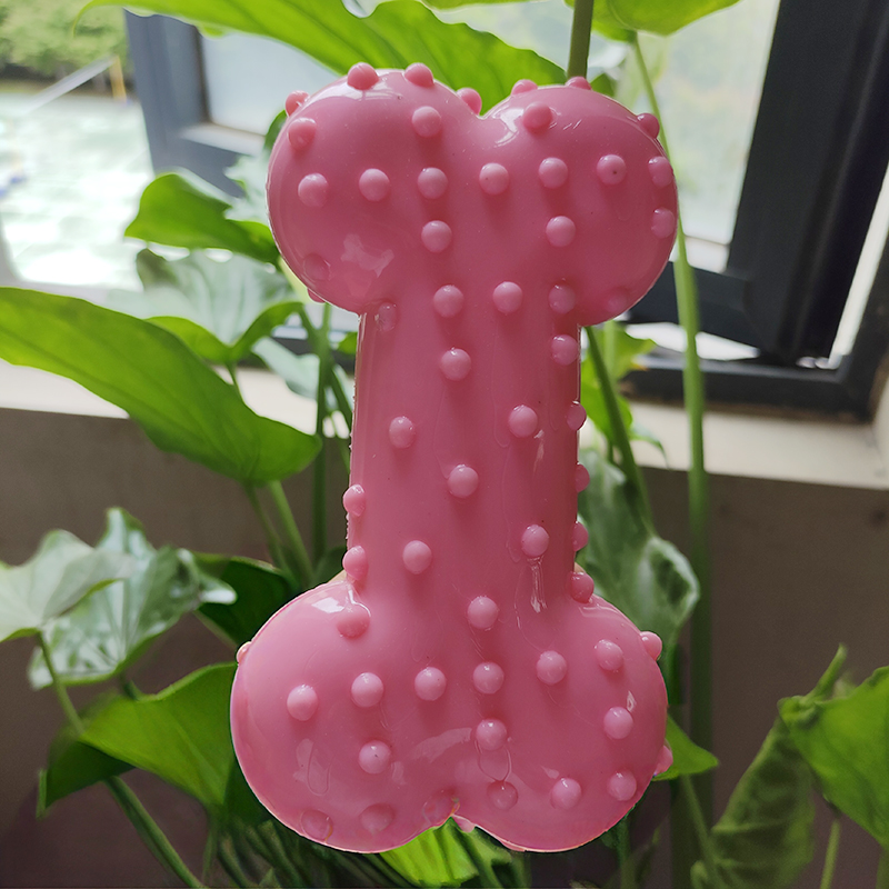Hondenspeelgoed Rubberen gelui - Teeth Cleaning Dog Chew Bone recensie en prijs